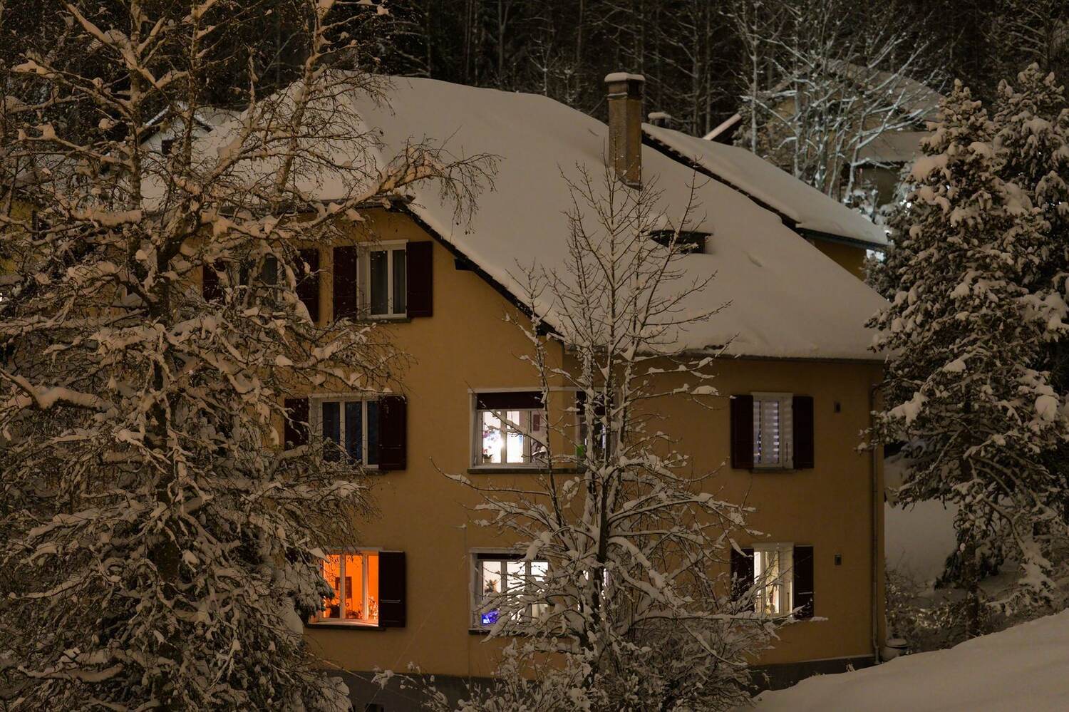 A snow-covered country house at dusk with lit windows, framed by frosted trees