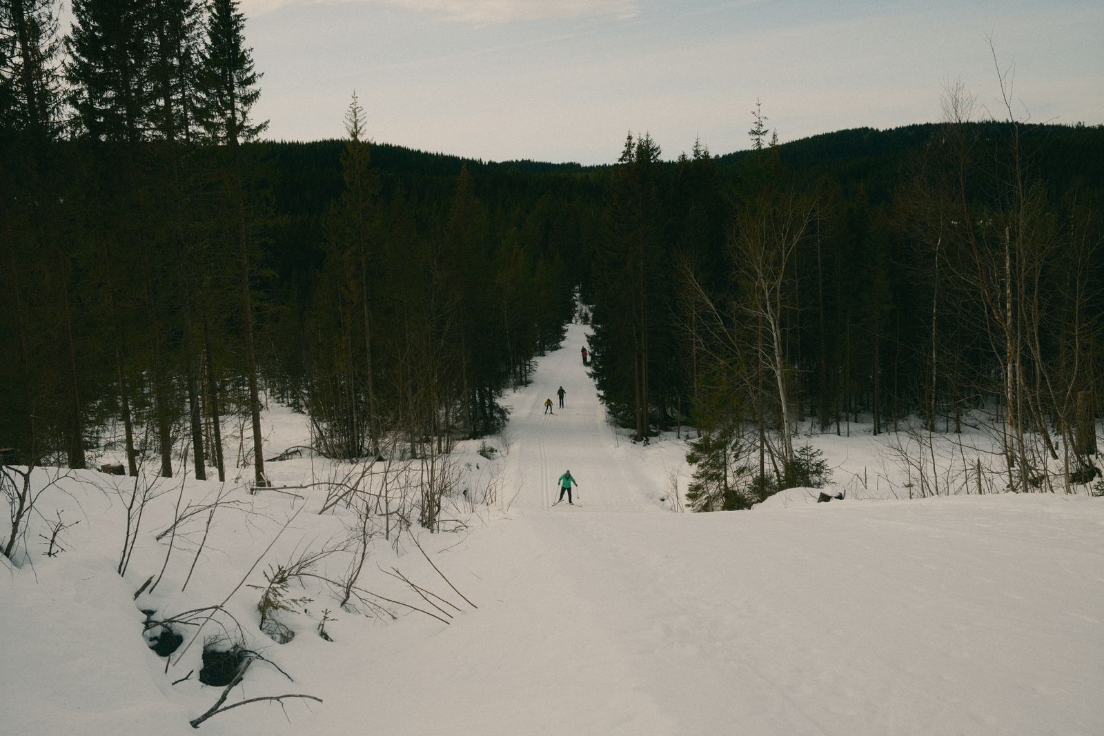 A skier far down a snowy trail between dark evergreen forest